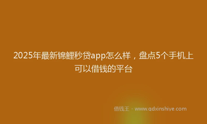 2025年最新锦鲤秒贷app怎么样，盘点5个手机上可以借钱的平台