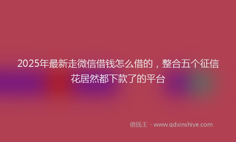 2025年最新走微信借钱怎么借的，整合五个征信花居然都下款了的平台