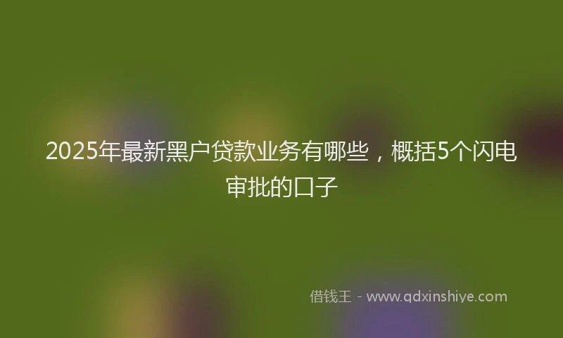 2025年最新黑户贷款业务有哪些，概括5个闪电审批的口子