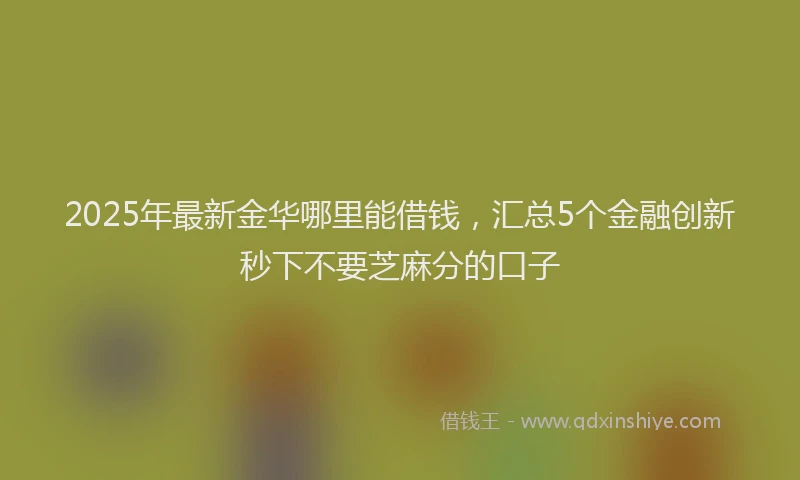 2025年最新金华哪里能借钱，汇总5个金融创新秒下不要芝麻分的口子