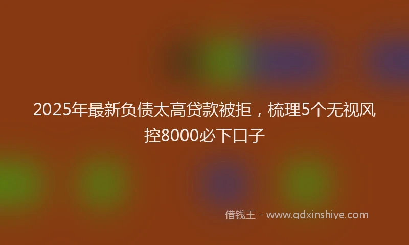 2025年最新负债太高贷款被拒，梳理5个无视风控8000必下口子