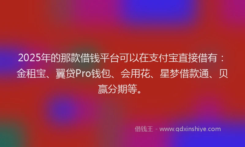 2025年的那款借钱平台可以在支付宝直接借有：金租宝、翼贷Pro钱包、会用花、星梦借款通、贝赢分期等。