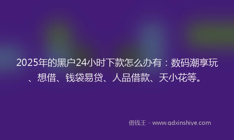 2025年的黑户24小时下款怎么办有：数码潮享玩、想借、钱袋易贷、人品借款、天小花等。
