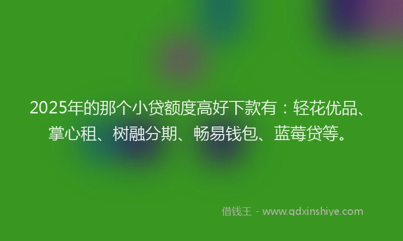 2025年的那个小贷额度高好下款有：轻花优品、掌心租、树融分期、畅易钱包、蓝莓贷等。