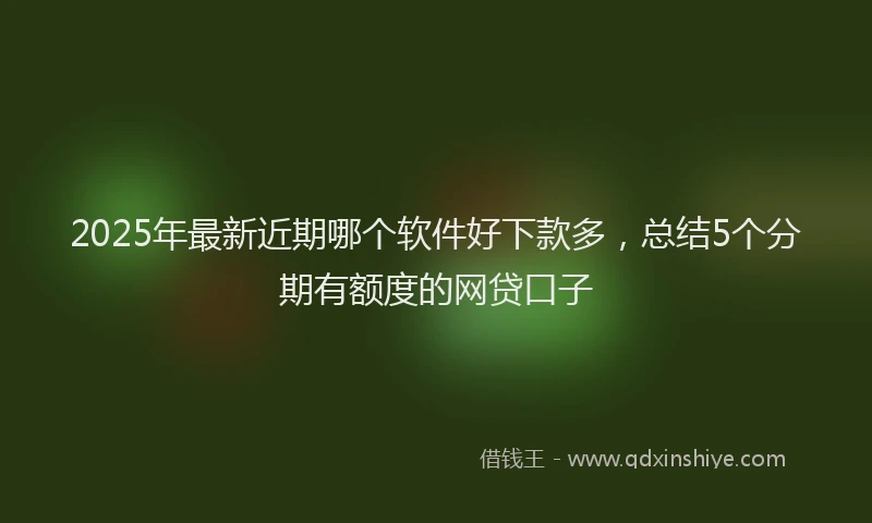 2025年最新近期哪个软件好下款多，总结5个分期有额度的网贷口子