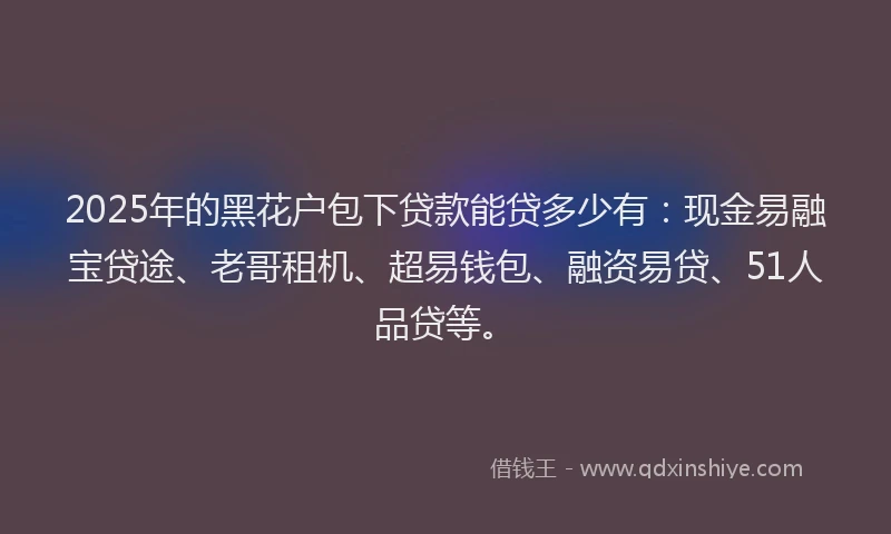 2025年的黑花户包下贷款能贷多少有：现金易融宝贷途、老哥租机、超易钱包、融资易贷、51人品贷等。