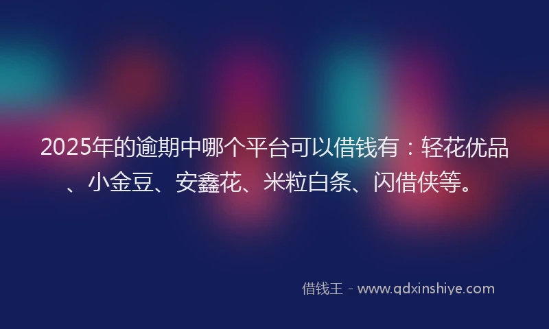 2025年的逾期中哪个平台可以借钱有：轻花优品、小金豆、安鑫花、米粒白条、闪借侠等。
