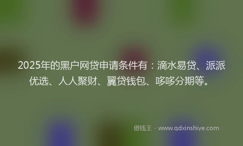 2025年的黑户网贷申请条件有：滴水易贷、派派优选、人人聚财、翼贷钱包、哆哆分期等。