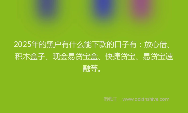 2025年的黑户有什么能下款的口子有：放心借、积木盒子、现金易贷宝盒、快捷贷宝、易贷宝速融等。