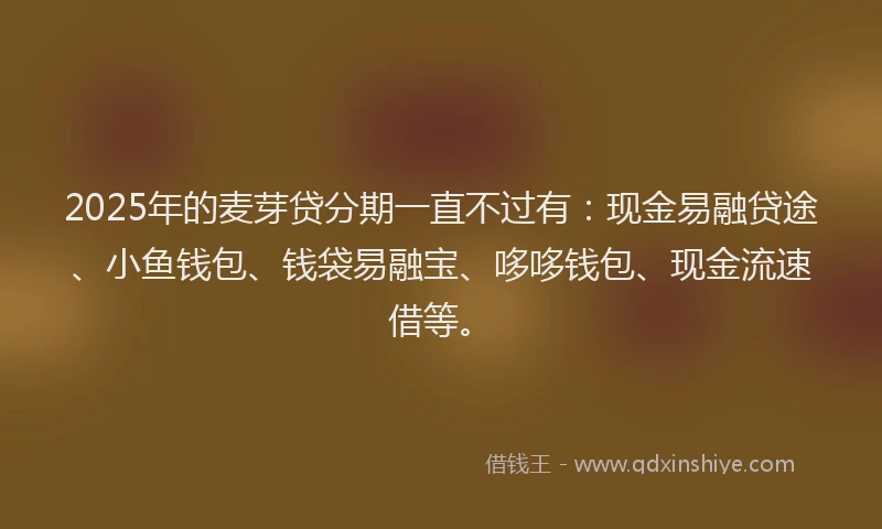 2025年的麦芽贷分期一直不过有：现金易融贷途、小鱼钱包、钱袋易融宝、哆哆钱包、现金流速借等。
