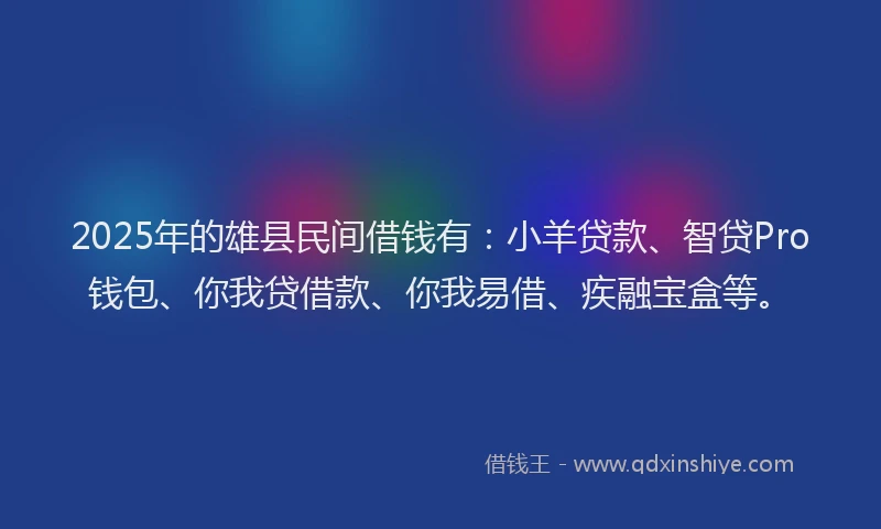 2025年的雄县民间借钱有：小羊贷款、智贷Pro钱包、你我贷借款、你我易借、疾融宝盒等。