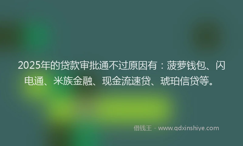 2025年的贷款审批通不过原因有：菠萝钱包、闪电通、米族金融、现金流速贷、琥珀信贷等。
