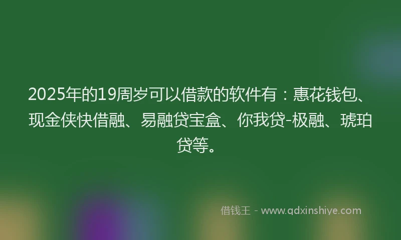 2025年的19周岁可以借款的软件有：惠花钱包、现金侠快借融、易融贷宝盒、你我贷-极融、琥珀贷等。