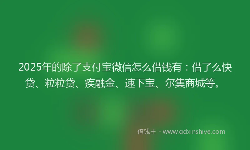 2025年的除了支付宝微信怎么借钱有：借了么快贷、粒粒贷、疾融金、速下宝、尔集商城等。
