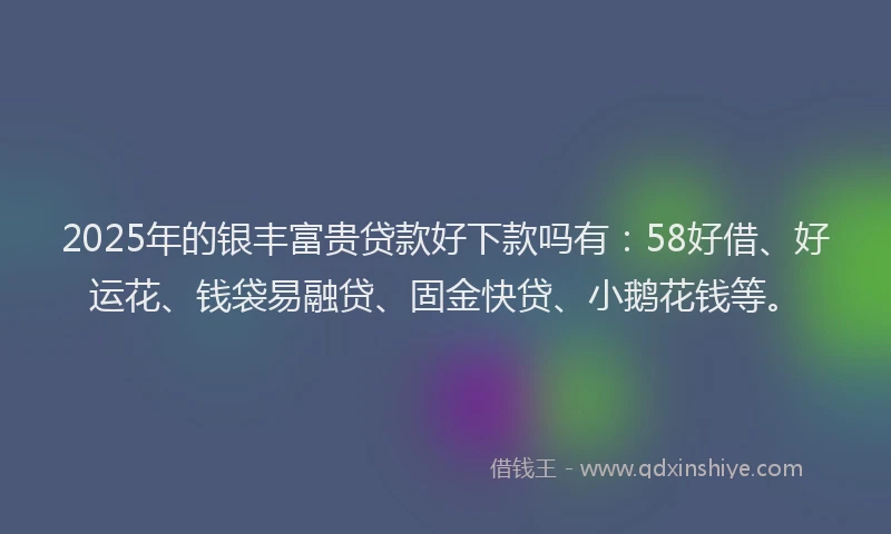 2025年的银丰富贵贷款好下款吗有：58好借、好运花、钱袋易融贷、固金快贷、小鹅花钱等。