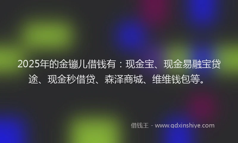 2025年的金镚儿借钱有：现金宝、现金易融宝贷途、现金秒借贷、森泽商城、维维钱包等。
