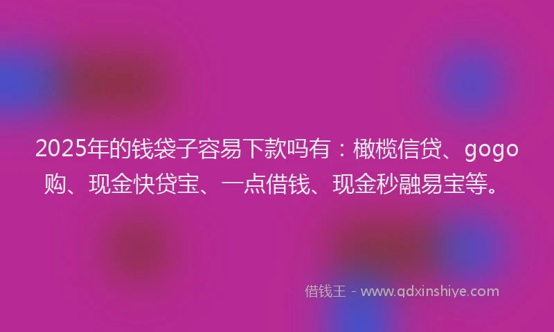 2025年的钱袋子容易下款吗有：橄榄信贷、gogo购、现金快贷宝、一点借钱、现金秒融易宝等。