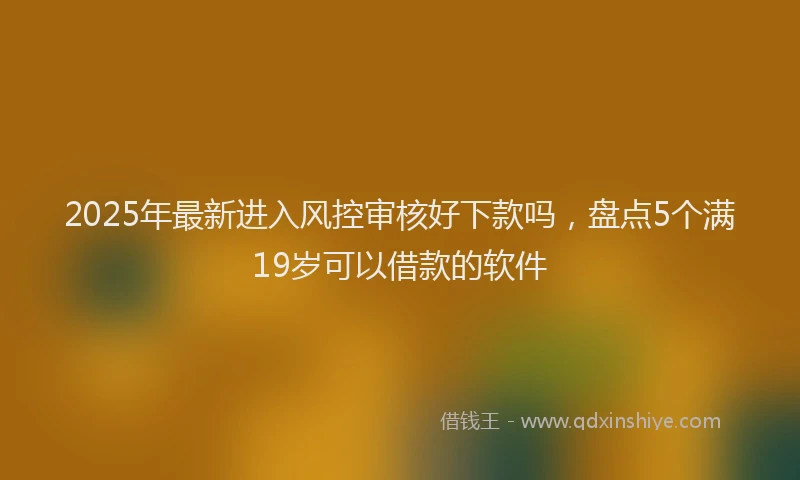 2025年最新进入风控审核好下款吗，盘点5个满19岁可以借款的软件