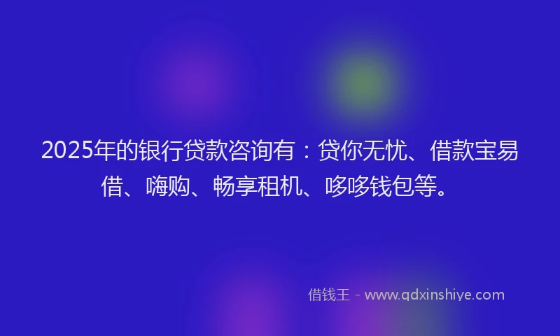 2025年的银行贷款咨询有：贷你无忧、借款宝易借、嗨购、畅享租机、哆哆钱包等。
