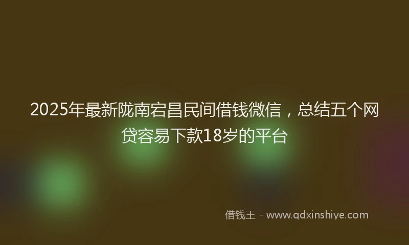 2025年最新陇南宕昌民间借钱微信，总结五个网贷容易下款18岁的平台