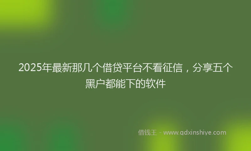 2025年最新那几个借贷平台不看征信，分享五个黑户都能下的软件