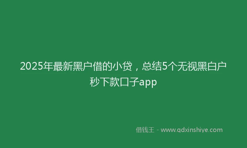2025年最新黑户借的小贷，总结5个无视黑白户秒下款口子app