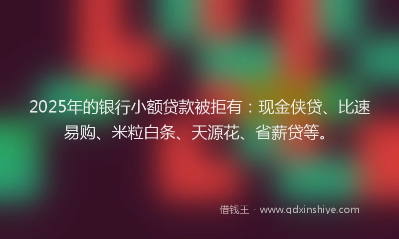 2025年的银行小额贷款被拒有：现金侠贷、比速易购、米粒白条、天源花、省薪贷等。