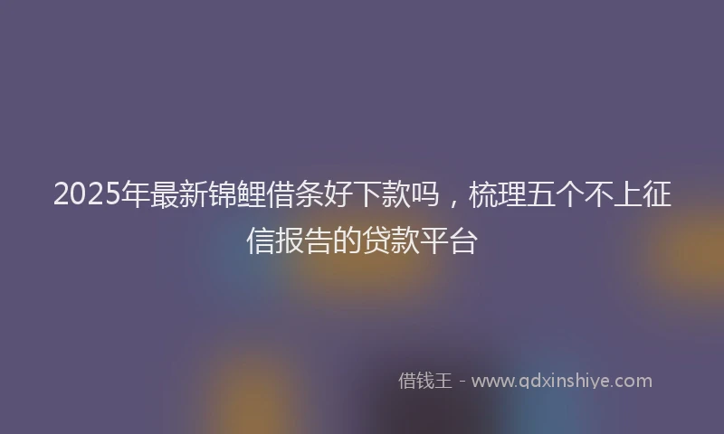 2025年最新锦鲤借条好下款吗，梳理五个不上征信报告的贷款平台