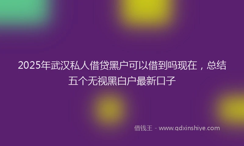2025年武汉私人借贷黑户可以借到吗现在，总结五个无视黑白户最新口子