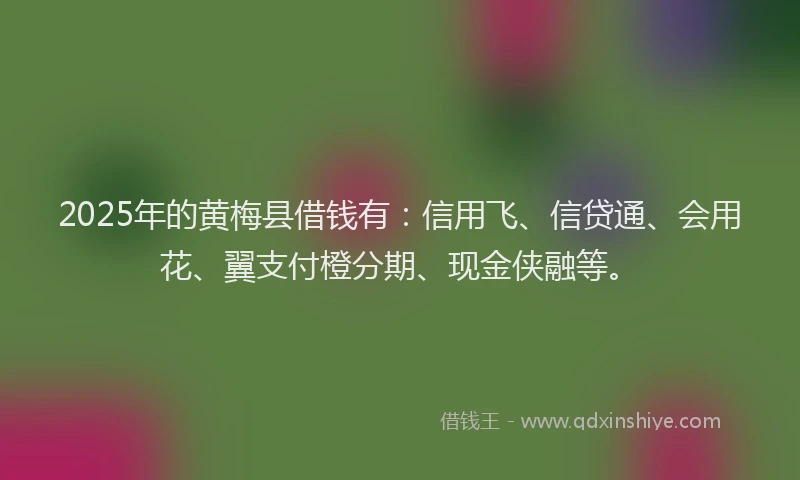 2025年的黄梅县借钱有：信用飞、信贷通、会用花、翼支付橙分期、现金侠融等。