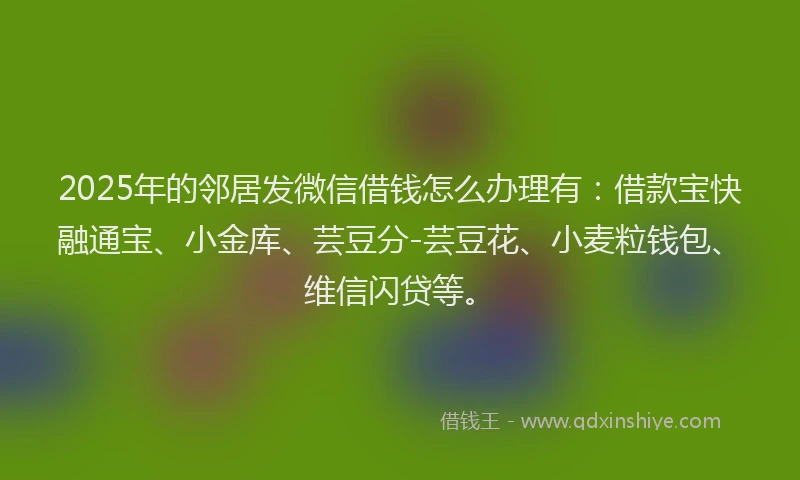 2025年的邻居发微信借钱怎么办理有：借款宝快融通宝、小金库、芸豆分-芸豆花、小麦粒钱包、维信闪贷等。