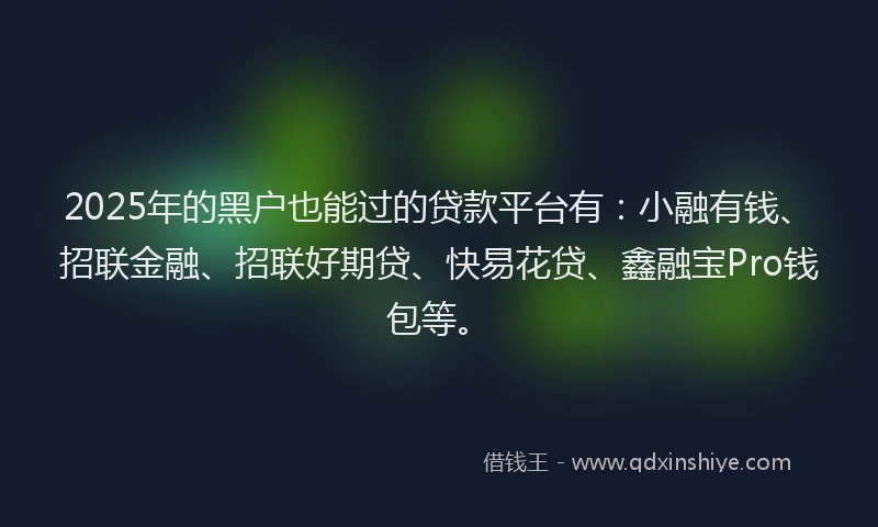 2025年的黑户也能过的贷款平台有：小融有钱、招联金融、招联好期贷、快易花贷、鑫融宝Pro钱包等。