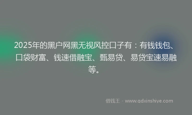 2025年的黑户网黑无视风控口子有：有钱钱包、口袋财富、钱速借融宝、甄易贷、易贷宝速易融等。