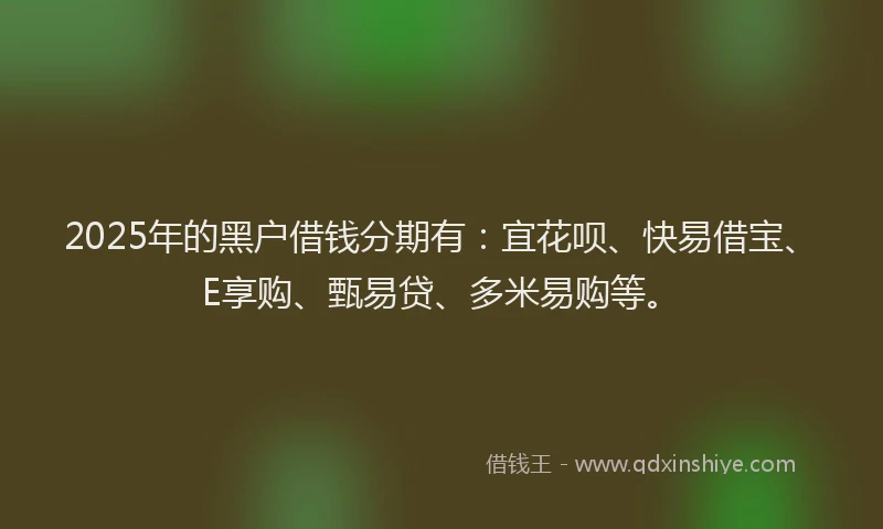 2025年的黑户借钱分期有：宜花呗、快易借宝、E享购、甄易贷、多米易购等。