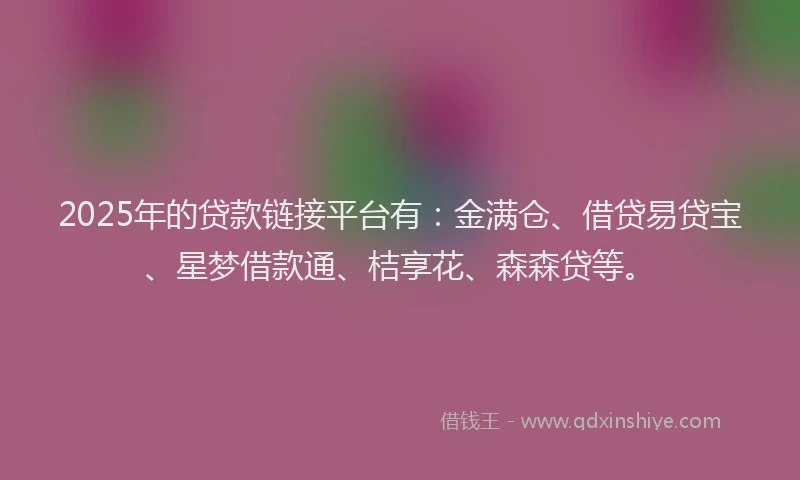 2025年的贷款链接平台有：金满仓、借贷易贷宝、星梦借款通、桔享花、森森贷等。