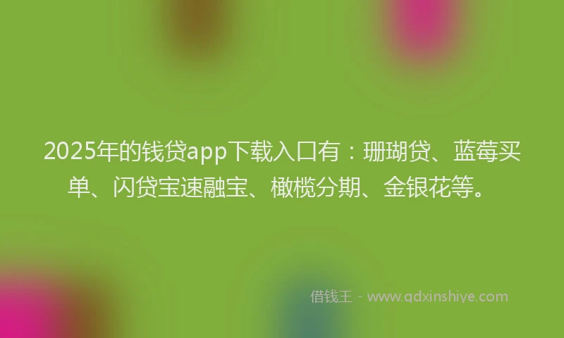 2025年的钱贷app下载入口有：珊瑚贷、蓝莓买单、闪贷宝速融宝、橄榄分期、金银花等。
