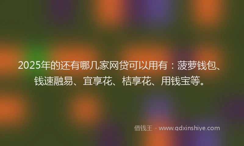 2025年的还有哪几家网贷可以用有：菠萝钱包、钱速融易、宜享花、桔享花、用钱宝等。