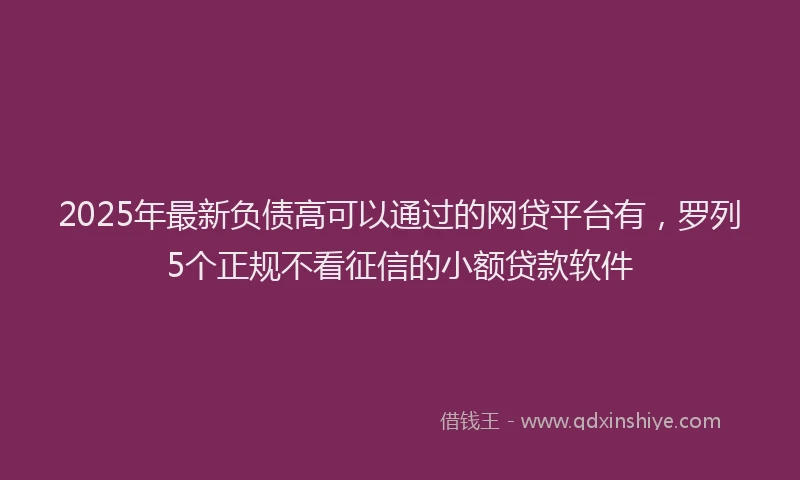 2025年最新负债高可以通过的网贷平台有，罗列5个正规不看征信的小额贷款软件