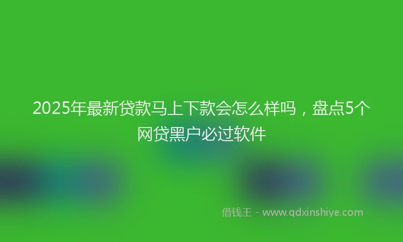 2025年最新贷款马上下款会怎么样吗，盘点5个网贷黑户必过软件