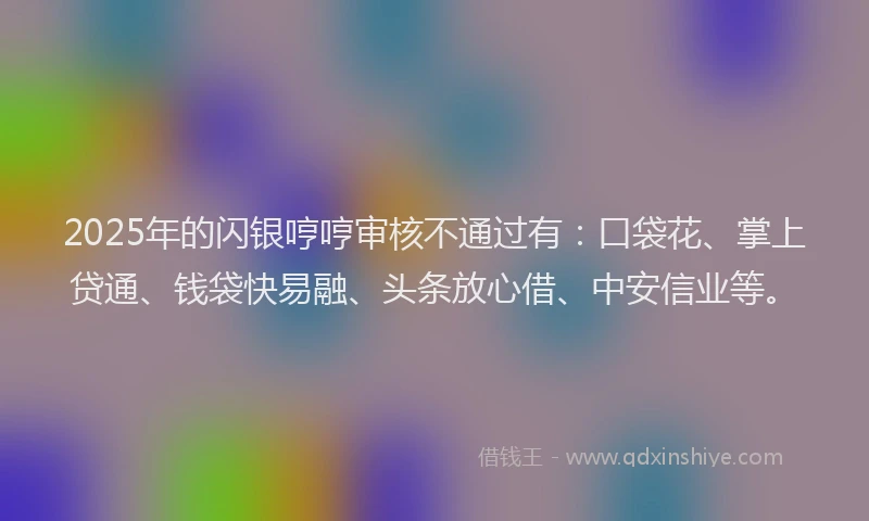 2025年的闪银哼哼审核不通过有：口袋花、掌上贷通、钱袋快易融、头条放心借、中安信业等。