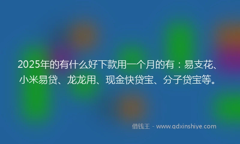 2025年的有什么好下款用一个月的有：易支花、小米易贷、龙龙用、现金快贷宝、分子贷宝等。