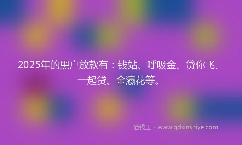 2025年的黑户放款有：钱站、呼吸金、贷你飞、一起贷、金瀛花等。