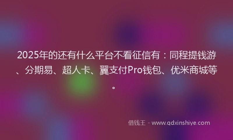 2025年的还有什么平台不看征信有：同程提钱游、分期易、超人卡、翼支付Pro钱包、优米商城等。