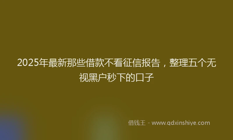 2025年最新那些借款不看征信报告，整理五个无视黑户秒下的口子
