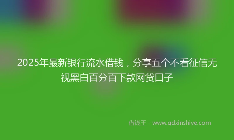 2025年最新银行流水借钱，分享五个不看征信无视黑白百分百下款网贷口子