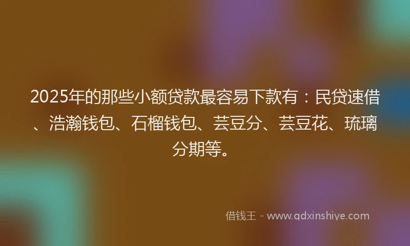 2025年的那些小额贷款最容易下款有：民贷速借、浩瀚钱包、石榴钱包、芸豆分、芸豆花、琉璃分期等。