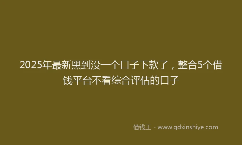 2025年最新黑到没一个口子下款了，整合5个借钱平台不看综合评估的口子