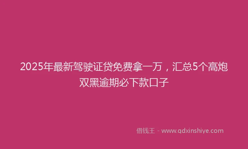2025年最新驾驶证贷免费拿一万，汇总5个高炮双黑逾期必下款口子
