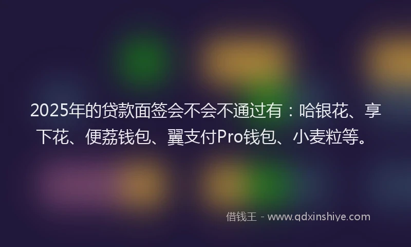 2025年的贷款面签会不会不通过有：哈银花、享下花、便荔钱包、翼支付Pro钱包、小麦粒等。