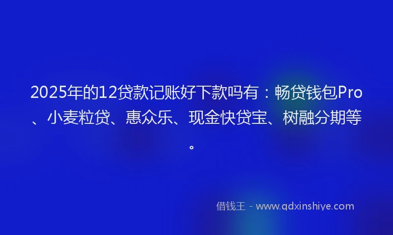 2025年的12贷款记账好下款吗有：畅贷钱包Pro、小麦粒贷、惠众乐、现金快贷宝、树融分期等。
